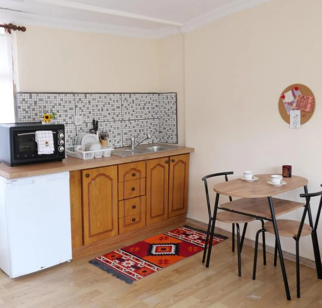 Stylish Triplex With Turkish Bath, Terrace, Central Location Istanbul Villa