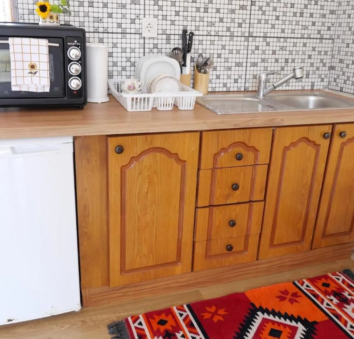 Stylish Triplex With Turkish Bath, Terrace, Central Location Istanbul Turkey