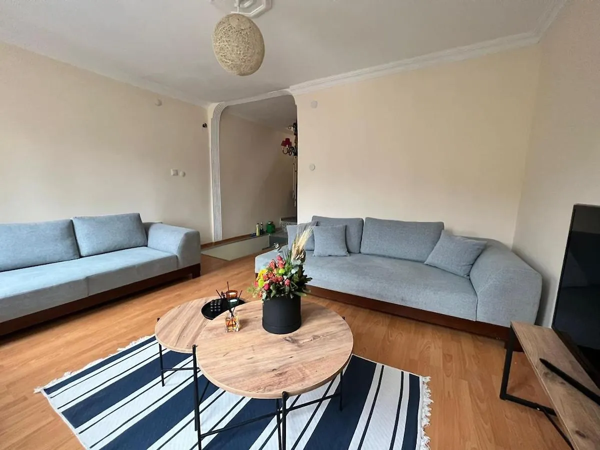 Stylish Triplex With Turkish Bath, Terrace, Central Location Istanbul Villa